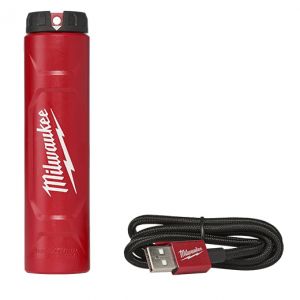 REDLITHIUM USB Charger